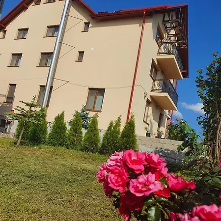 Apartment Pensiunea Agroturistica Anca&ioana *