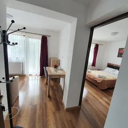 Apartment Pensiunea Agroturistica Anca&ioana *